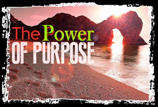 Read more about the article The Power of Purpose